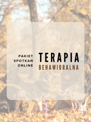 Pakiet online: Konsultacje behawioralne dla psa (3 spotkania)