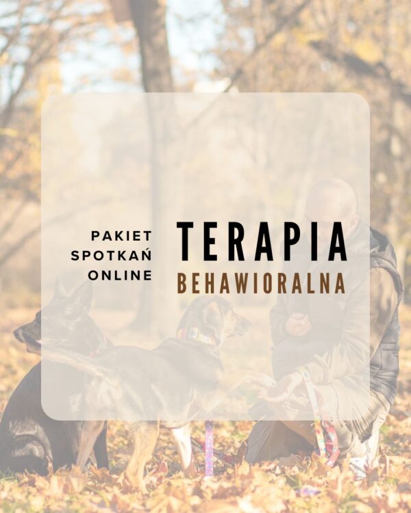 1 Pakiet online: Konsultacje behawioralne dla psa (3 spotkania)
