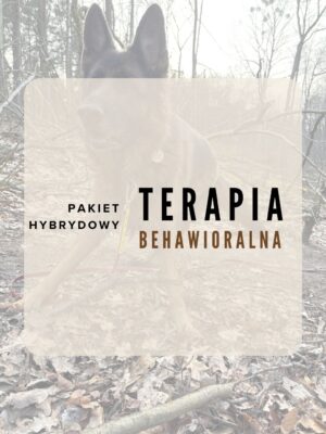 Pakiet hybrydowy: Konsultacje behawioralne dla psa