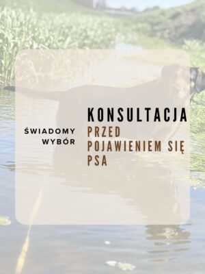 Konsultacja przed adopcją lub zakupem psa