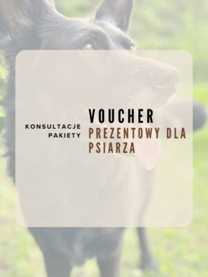 Voucher prezentowy – Konsultacje behawioralne dla psa